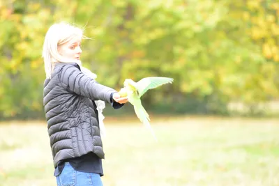 DSC_0499 (Large).JPG